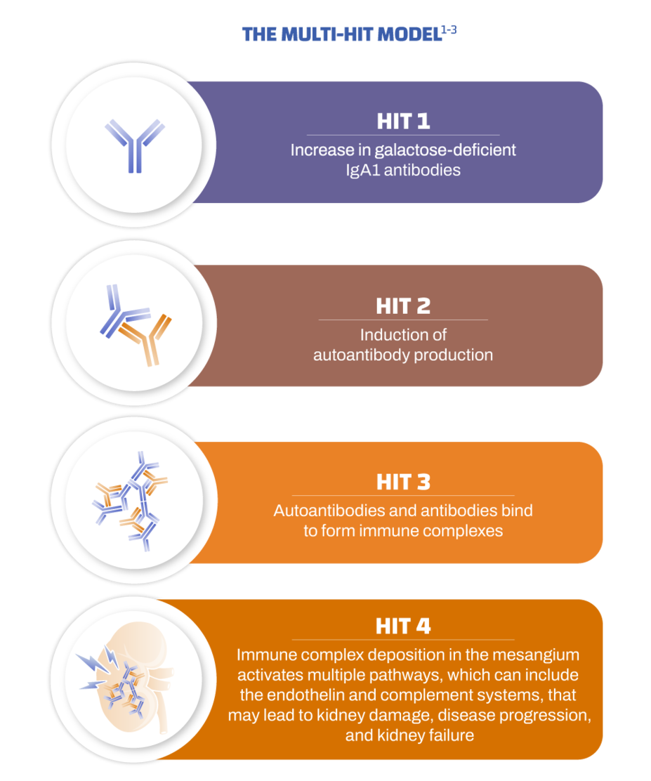 The Multi-hit Model