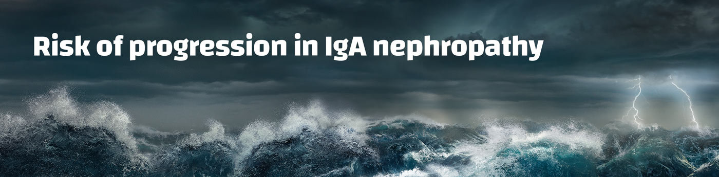 Risk of progression in IgA nephropathy