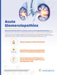 Image explaining glomerulonephritis, the typical symptoms, and the overall approach to the diagnosis.